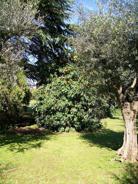 Appartamento Casale Di Caccia Roma