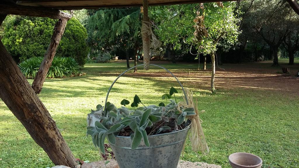 Appartamento Casale Di Caccia *